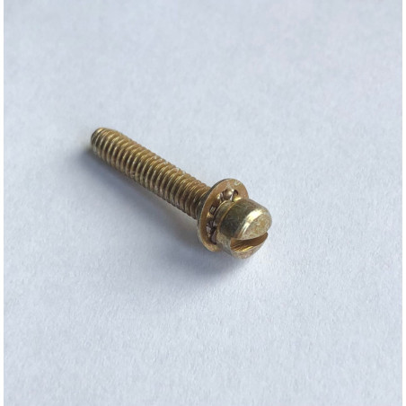 AB-391213 Śrubka ( screw )