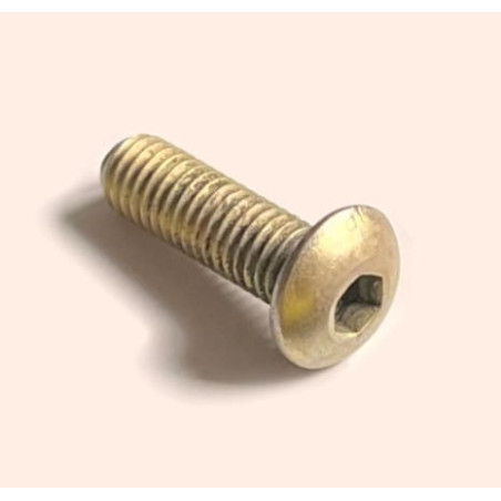 A142-1 Screw (screw) ROBINSON