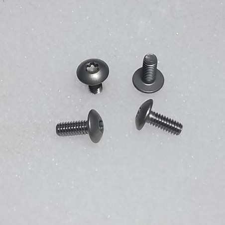 B526-6 Screw  truss head, TORX    8 X .406