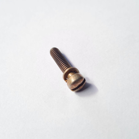 10-391213 Śrubka  (screw)