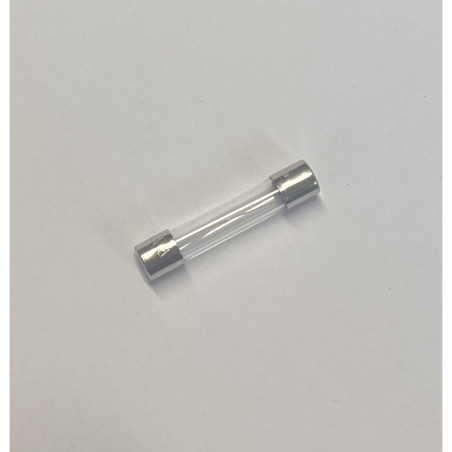 D275-210 ( AGC-10-R ) Bezpiecznik ( Fuse )