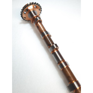 15N26092 Wałek rozrządu Camshaft