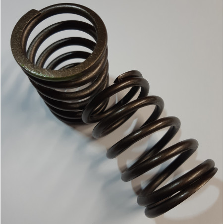 17D29056 Sprężyna (Spring-Valve-Outer)