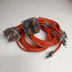 M2402R Kable zapłonowe Harness (complete)