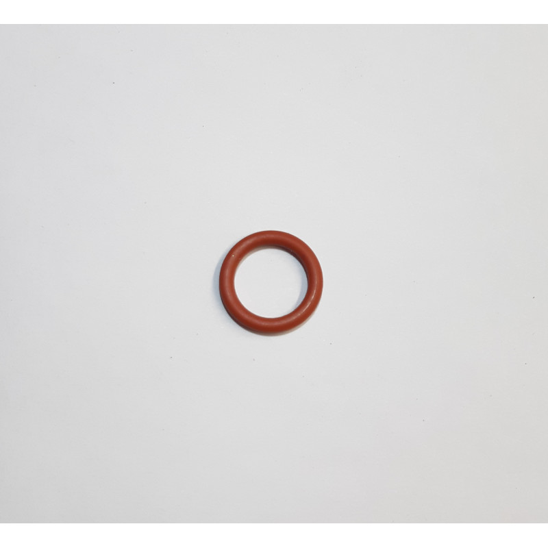 SL72075 Uszczelka O-Ring