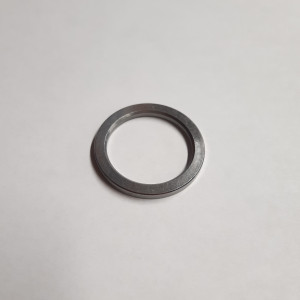 71596 Podkładka (Washer - Accessory Drive Gear)