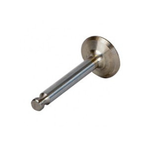 SL19001A ( 17B23936 / LW19001  ) Valve - Exhaust