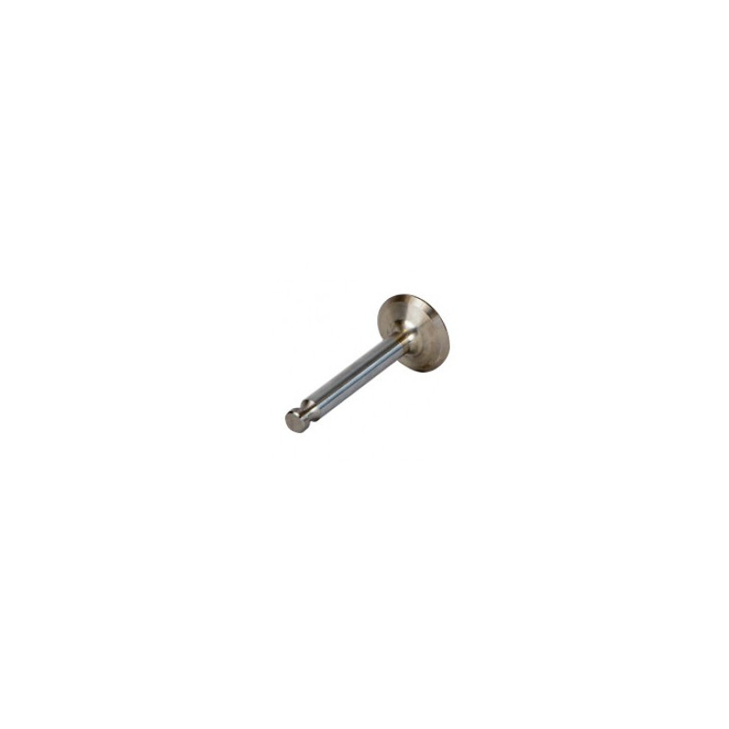SL19001A ( 17B23936 / LW19001  ) Valve - Exhaust
