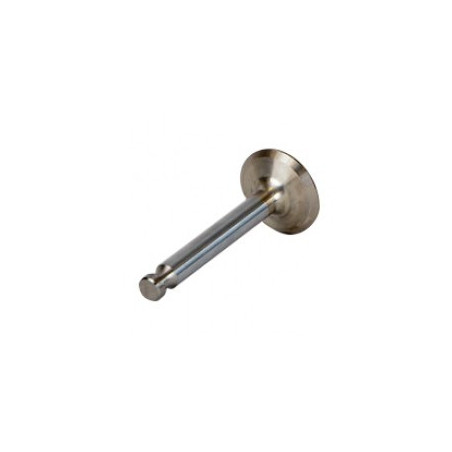 SL19001A ( 17B23936 / LW19001  ) Valve - Exhaust